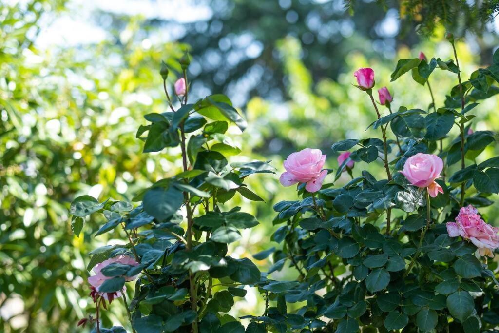 Bois Et Chiffons Famille Et Confort Siorac-en-Perigord ภายนอก รูปภาพ